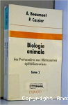 vignette