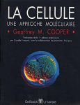 La cellule vignette