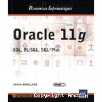 Oracle 11g vignette
