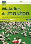 Maladies du mouton vignette