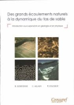 Des grands écoulements naturels à la dynamique du tas de sable vignette