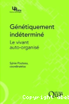 vignette