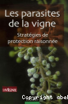 vignette