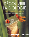 vignette