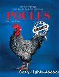 Poules made in France vignette